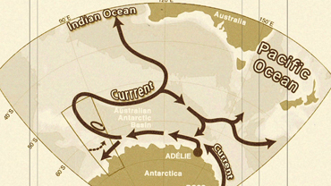 News of the Day: Southern Ocean Current