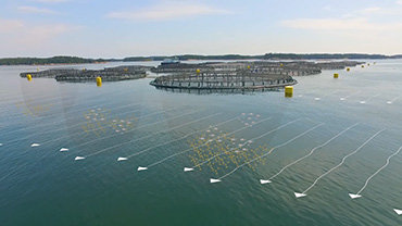 INNOVATIONS IN AMERICAN AQUACULTURE