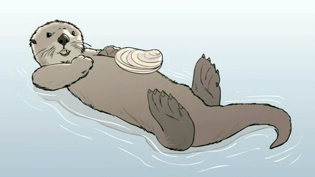 how to draw a sea otter