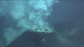 Underwater Vents and Volcanoes